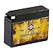 YT4B-BS Sealed Motorcycle Battery -  Rechargeable Replacement - Factory Sealed and Activated - AGM - Pirate Battery primary