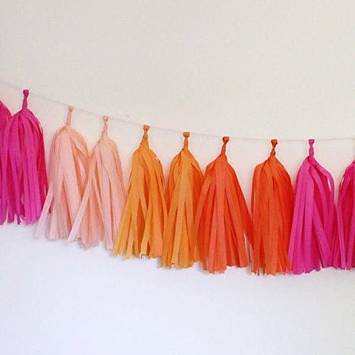 Jesipi Princess Pink Cerise Orange Nursery Room Decoration Tissue Paper Tassels Garlands Hanging Banners Pack of 8