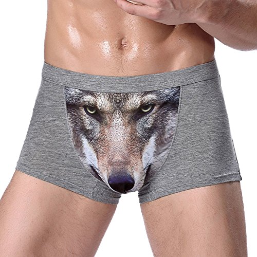 Bestag Mens 3D Wolf Owl Eagle Bulge Pouch Boxer Briefs Underwear