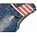 Najia Symbol Mens American Flag Retro Denim Vest Sleeveless Cowboy Jean Jacket Distressed Slim Fit for Casual Wear Rock Concerts (M, American Flag)