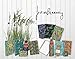 Studio Oh! Notebook Trio with Three Coordinating Designs, Justina Blakeney Botanical Collection, NT017