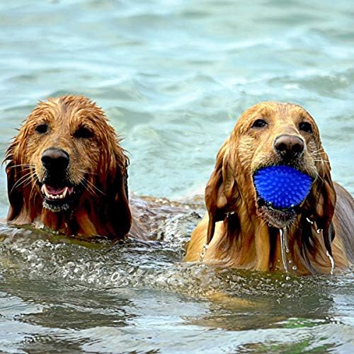 Diafrican - Pelotas de Juguete para Perros - Juguete Robusto ...