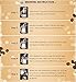 The World's Most Exclusive Coffee, 100% Genuine Kopi Luwak Specialty Arabica Ground Gourmet Coffee (10g sachet)