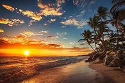 Sunset Over Tropical Beach Palm Tree Ocean Photo
