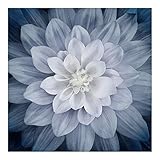 Hoffman Digital Dream Big 42in Floral Panel Slate Fabric