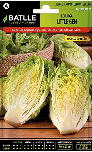 Semillas Hortícolas - Lechuga Romana Little Gem cogollo pequeño ...