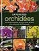 la reine des orchidees by