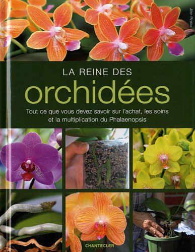 La  reine des orchidées