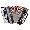 Zupan Alpe IV 96 MH Akkordeon Palisander