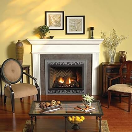 Amazon Com Empire Comfort Systems Tahoe Premium 48 Dv Fireplace