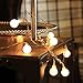 Innoo Tech 100 LED Indoor Globe String Lights Warm White for Patio Party Christmas Wedding Bedroom
