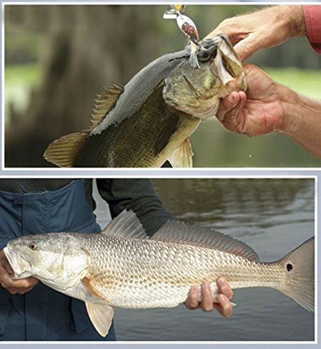 OUTLIFE-Fish-Finder-Wireless-Sonar-Sensor-and-Handheld-LCD-Display-Monitor-with-Depth-Water-Temperature-Fish-Size-Location-for-Small-Boats-Ice-Lake-Sea-Night-Fishing