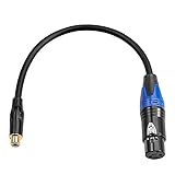 Disino Female XLR to RCA Female Cable, RCA to XLR