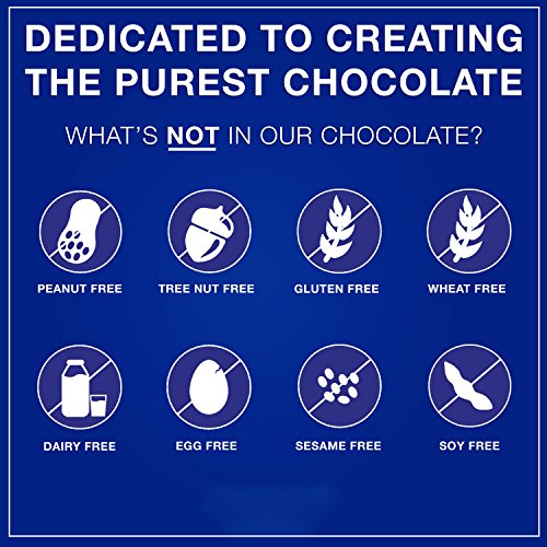 Pascha Organic Vegan Rice Milk Orange Chocolate Bar, 46% Cacao, 1.1 Ounce (Pack of 15)
