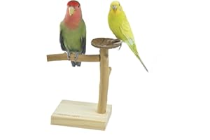 GUANLANT Natural Wood Bird Stands Feeder Toys, Tabletop Portable Training Parrots Perch Playstands Feeding Bowl Treats Toys,Bird Cage Playground Accessories for Parakeets Conure Budgies Lovebirds