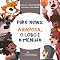 Livro Fake News: A Raposa, o Lobo e a Menina