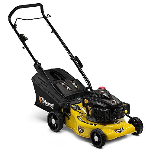 Cortador de Grama a Gasolina 37cm Coletor Traseiro T430GRR37 - Tekna