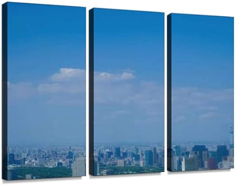 Amazon Co Jp 東京スカイツリー スカイツリー 六本木ヒルズ ビル群 コピースペース テキストスペース スペース 六本木 晴天モダン アートボード 壁アート 壁掛け モダンアート 壁飾り木枠セット 壁芸術 新築祝い ホーム キッチン