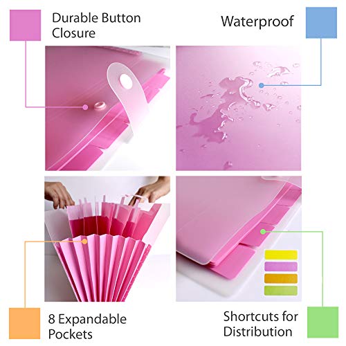 Expanding File Folder 8 Pockets, A4 Paper Harmonium File, Kawaii