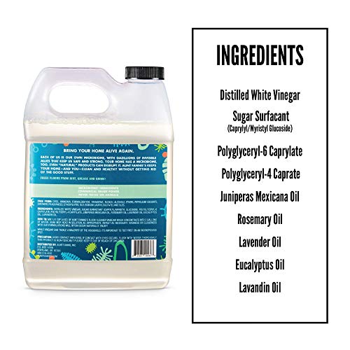 Aunt Fannie's Floor Cleaner Vinegar Wash MultiSurface Cleaner, 32 oz