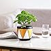 JUNROYM Matte White & Black Ceramic Flower Pot 6 inch Set of 2 Indoor Planters with Drainage Hole Gold Detailing