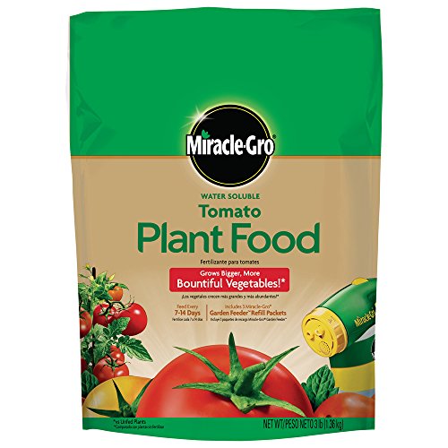 Miracle-Gro 1000441 Water Soluble Tomato Plant Food Tomato Fertilizer (6 Pack), 3 lb