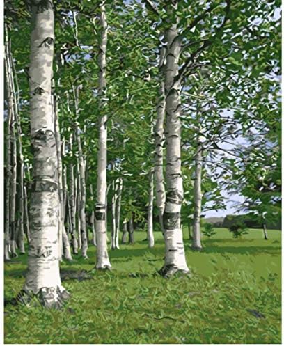 CYKEJISD DIY Painting by Numbers Drawing Kits Paint On Canvas Unique for Home Wall Art Picture Frameless 40X50Cm