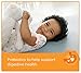 Enfagrow PREMIUM Non-GMO Toddler Transitions Formula - Powder can, 20 oz