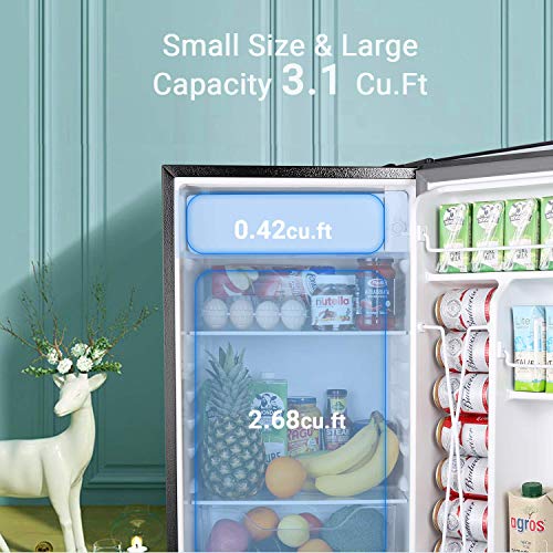 Compact Refrigerator, TECCPO 3.1 Cu.Ft Mini Fridge with Freezer, Energy