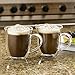 BonJour Coffee Insulated Borosilicate Glass Cappuccino Cups, 2-Piece Set, 8-Ounces Each