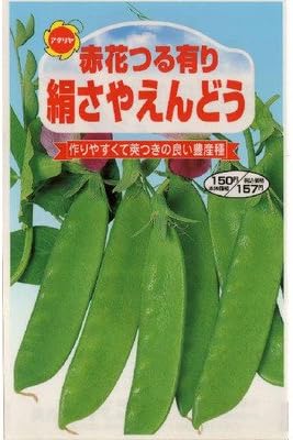つるあり赤花 絹さやえんどう 春 秋まき 誕生日プレゼント 269