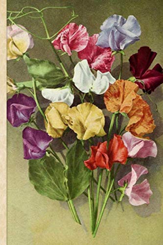 Composition Notebook: Nice Sweet Peas 6 x 9 150 pages Lined Notebook for school, university, teacher, student