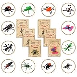 Kids Valentines Card Packs 36 Love Bug Cards with 12 Different Bugs and 6 Different Card Designs