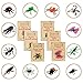 Kids Valentines Card Packs 36 Love Bug Cards with 12 Different Bugs and 6 Different Card Designs