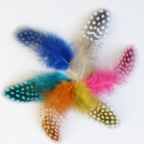 Pack of 100 Guinea Fowl Feathers Spotted Mixed 6 Colors- Hand Sorted