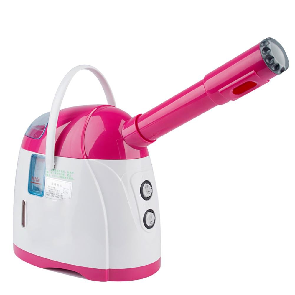 Buy COOL HOT Mist Facial Face Steamer Professional Facial Mist and