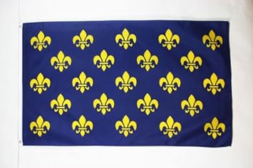Az Flag France Blue And Gold Fleur De Lis Flag 3 X 5 French Royal Flags 90 X 150 Cm Banner 3x5 Ft