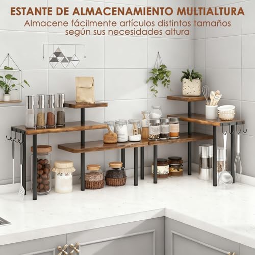 COSENGA Organizador de Encimera de 3 Niveles, Organizador de Especias para Gabinete Giratorio 360º, Soporte de Especias para Despensa para Despensa Organización y Almacenamiento