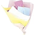 Assorted Pastel Color Tissue Sheets - 20" x 26", 10 Count - Perfect Colorful Gift Wrapping & Craft Supplies