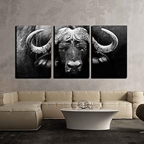 3 Piece Canvas Wall Art - Nice Mediterranean House Facades with Shutters Modern Home Art Stretched and Framed Ready to Hang - 16"x24"x3 Panels