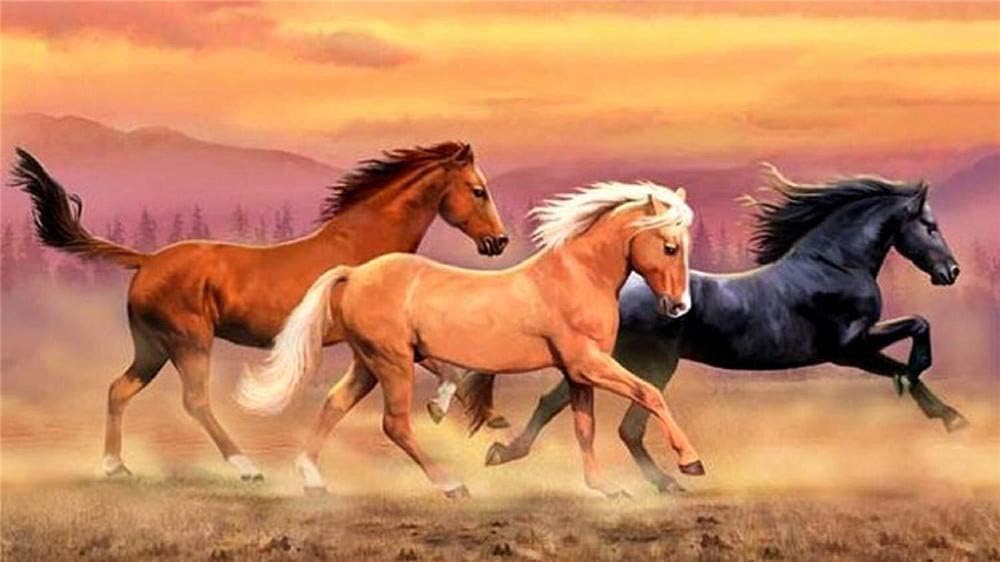 Paint-by-Number Kits for Adults - Running Horses - Includes Brushes, Paints and Numbered Canvas - 16x20 Inch - Great for kids and adults,with Frame