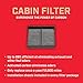 Champion CCF1869 Activated Carbon Replacement Cabin Air Filter