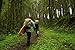 Fjallraven - Rucksack No.21 Medium