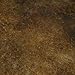 CC Concrete Coatings Vivid Acid Stain for Concrete | Coffee | 4 oz Tester