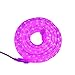 LampLust 24 Ft. Plugin Rope Lights, 287 Purple LEDs, Connectable, Dimmable, Waterproof, Indoor/Outdoor Use, Ideal for Backyards, Weddings and Christmas Decor