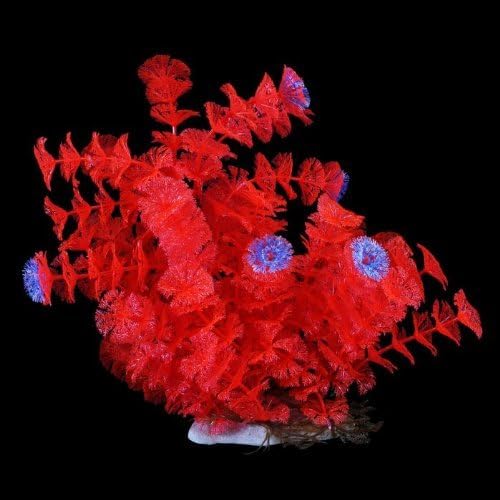 Cabomba Plant Ornament by Pure Aquatic