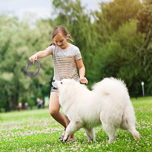 HRLORKC Plastic Ring Toss Game Set Rings for Ring Toss for Kids Outdoor Games Plastic Carnival Rings Carnival Games for Carnival Party and Parent-Child Games (24 pcs)