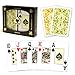 Copag Bridge Size Jumbo Index Misto Saraswati Playing Cards (Green/Orange Setup)