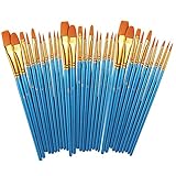 WILLONE Paint Brushes Set, 30 PCS Round Pointed Tip
