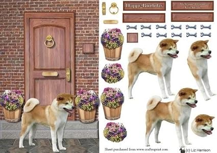 Cartolina Di Buon Compleanno Carino E Divertente Cane Akita Etsy